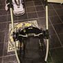 Buggy Image 4