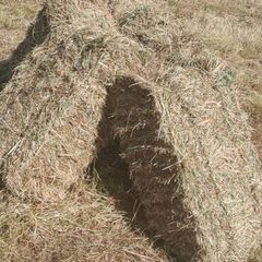 Small Square Bales