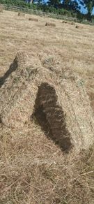 Small Square Bales