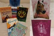 Holly Webb Story Book Collection