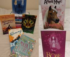 Holly Webb Story Book Collection