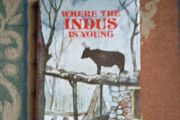 Where the Indus is young by dervla murphy