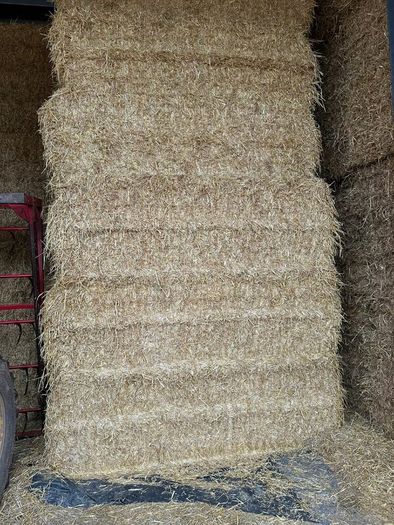 2026 Hay
