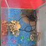 50 Litre Fish Tank Image 4