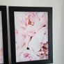 3 pictures in wooden frame 53x72 cm each Image 5