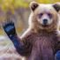 TeddyBear316