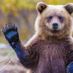 TeddyBear316