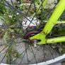 bike Image 3