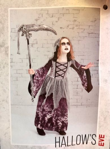 Girls Hallows Eve costume with hood