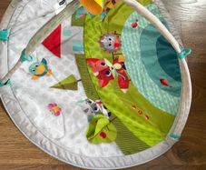 Play mat with arch