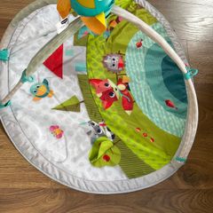 Play mat with arch