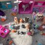 Barbie pet themed collection Image 3