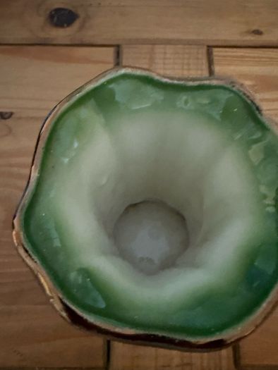 Small Green Flower Vase