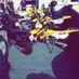 HondaCrf