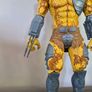 Predator Hunter Image 3