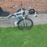 adult trike Image 6