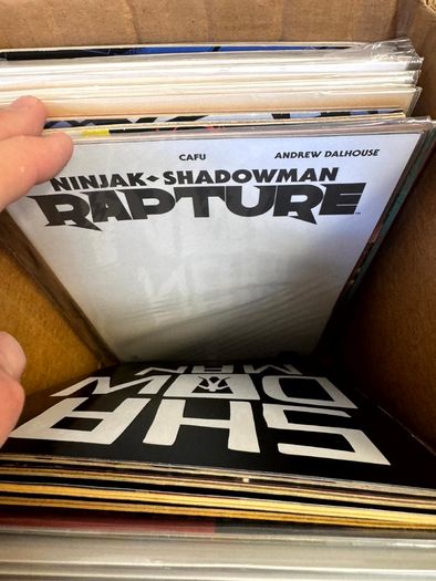 Valiant, IDW, Oni Long Comic Box w 280 Comics for Sale