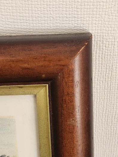 Beautiful Poltry Print Nicely Framed In Good Condition. See Photos For Same.