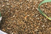 gravel