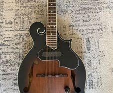 Ortega Mandolin Electric as new