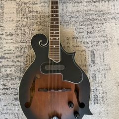 Ortega Mandolin Electric as new