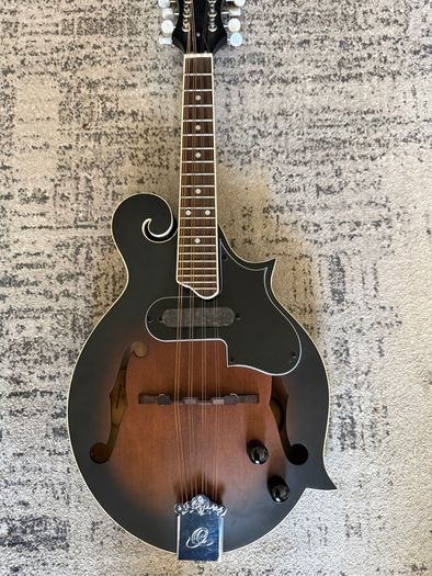 Ortega Mandolin Electric as new