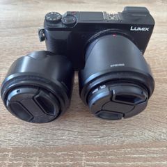 Panasonic Lumix GX80/85