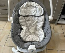 Baby Swing & Rocker
