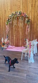 wedding arch