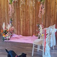 wedding arch