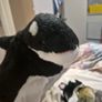 Hand Puppets. Bnwt Image 8