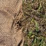 4 vintage hessian jute sacks Image 3