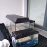 tanks for sale 2 40cm 2 60cm Image 5