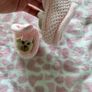 baby clothes Image 3