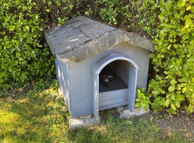 wooden dog kennel