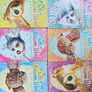 The owls of Blossom wood Image 2
