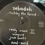 Sebadoh - Rocking The Forest Image 4