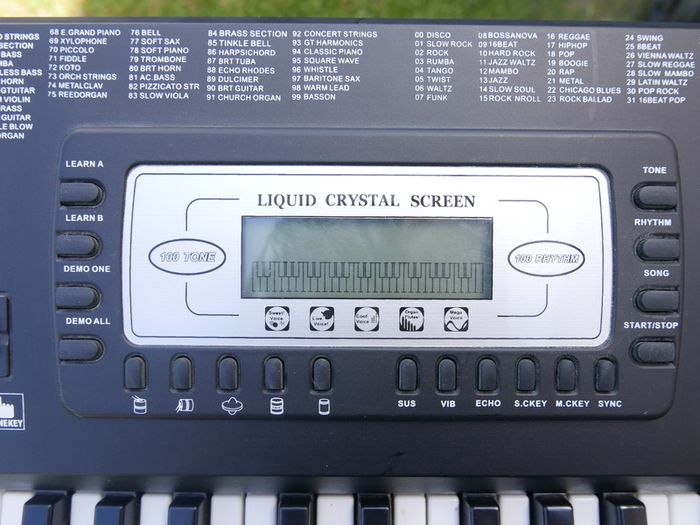 Electronic Keyboard - SK-560 54 Key Keyboard, and keyboard stand