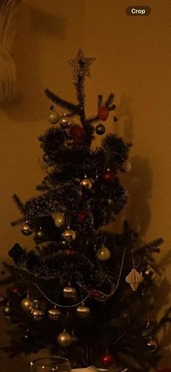 christmas tree and decorations