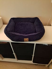 Cat Bed