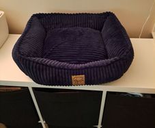 Cat Bed