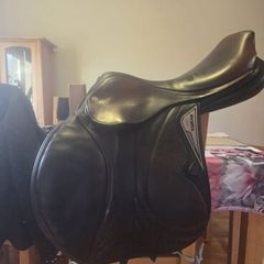 Saddle
