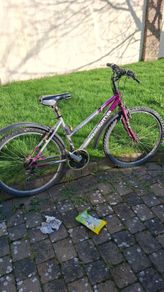 Bicycle for sale