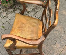 Dining Chairs