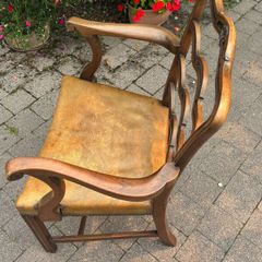 Dining Chairs