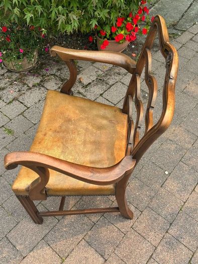 Dining Chairs