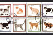 1978 Scotland Holy Islands Cats (Cinderella Stamps) miniature sheet showing Fine Used