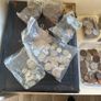old money Image 10