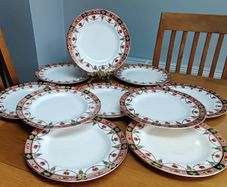 Vintage Arklow 812 Dinner Plates