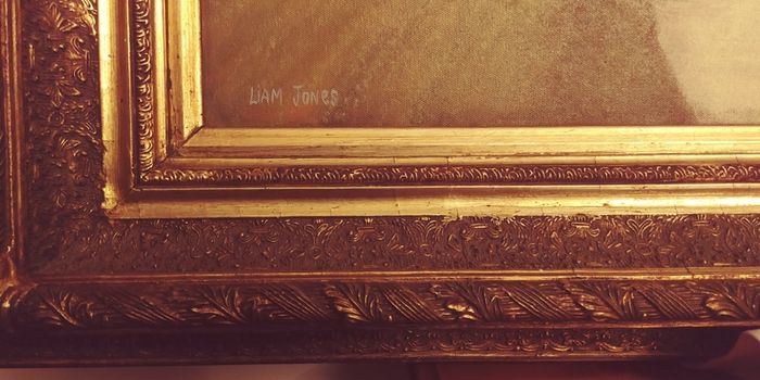 Beautiful original liam jones oil on canvas.
